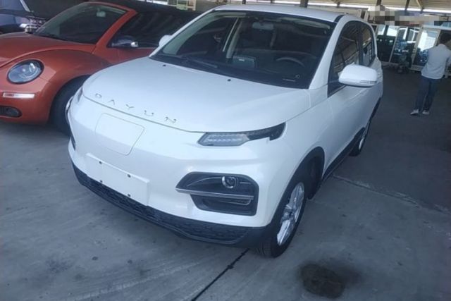 Used Dayun Yuehu 2022 30.66 kWh Two-Wheel Drive Standard Version