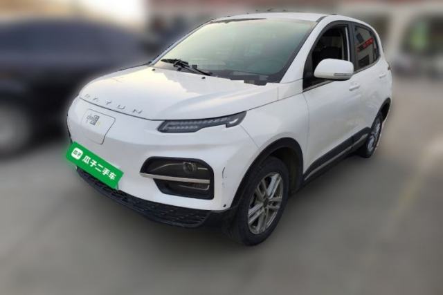 Used Dayun Yuehu 2022 30.66 kWh Two-Wheel Drive Standard Version