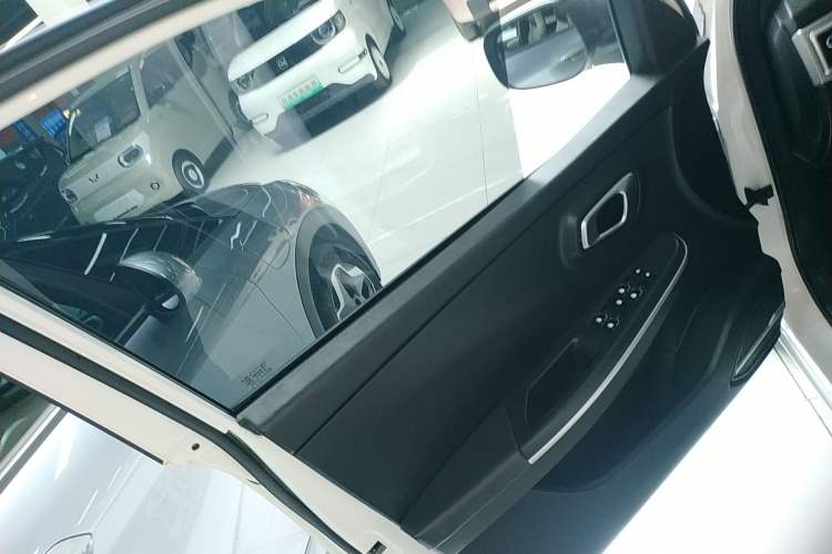 Used Dayun Yuehu 2022 300 Standard Edition Left Front Door Interior