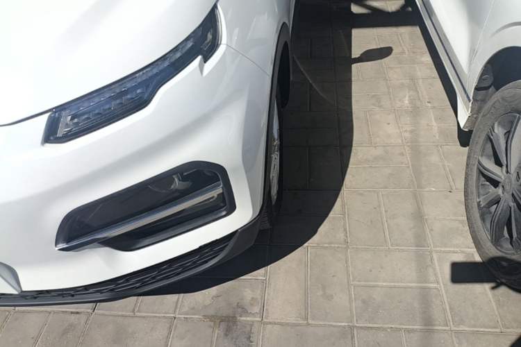 Used Dayun Yuehu 2022 30.66 kWh Two-Wheel Drive Standard Version Left Front Headlight