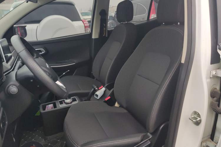 Used Dayun Yuehu 2022 30.66 kWh Two-Wheel Drive Standard Version Left Front Seat