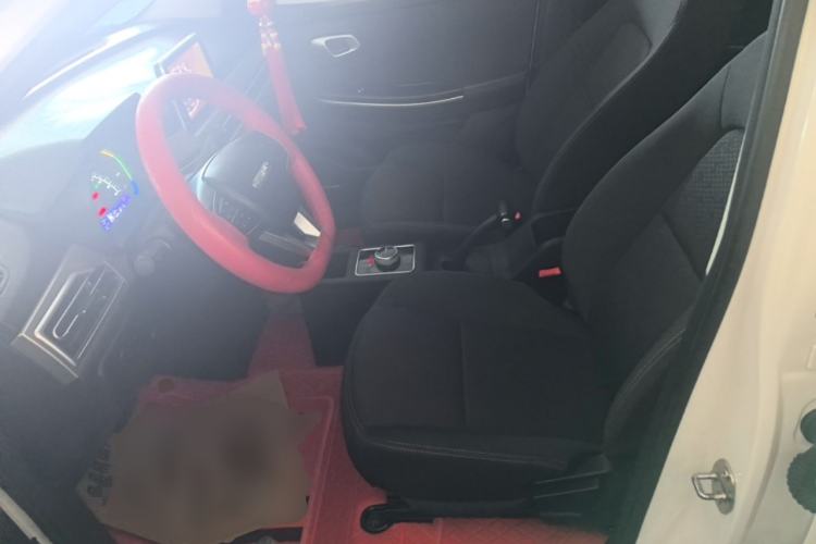 Used Dayun Yuehu 2022 300 Standard Edition Left Front Seat