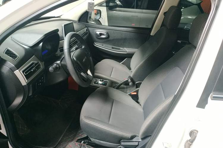 Used Dayun Yuehu 2022 300 Standard Edition Left Front Seat