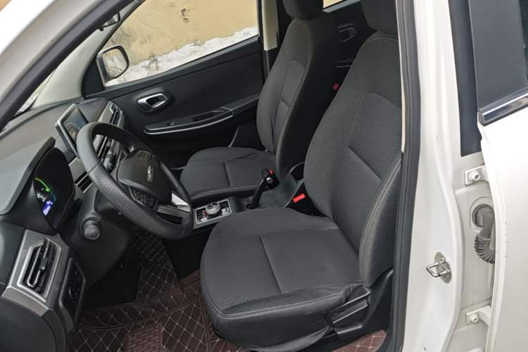 Used Dayun Yuehu 2022 30.66 kWh Two-Wheel Drive Standard Version Left Front Seat