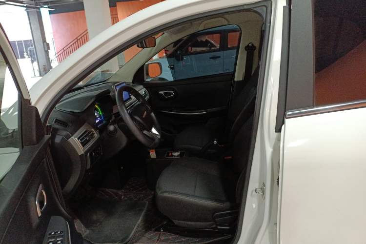Used Dayun Yuehu 2022 30.66 kWh Two-Wheel Drive Standard Version Left Front Seat