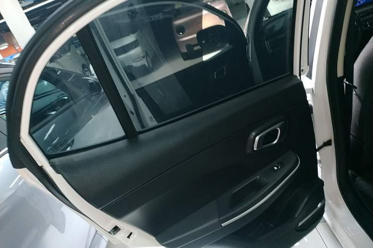 Used Dayun Yuehu 2022 300 Standard Edition Left Rear Door Interior