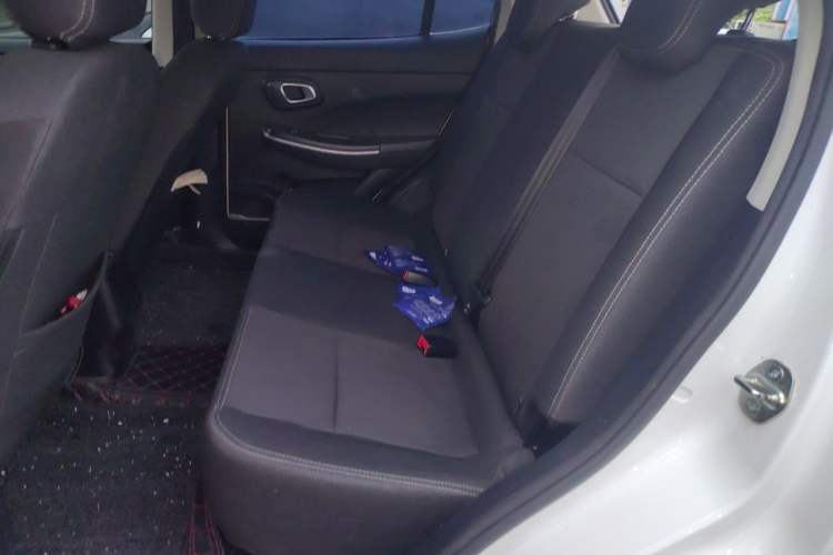 Used Dayun Yuehu 2022 330 Standard Edition Left Rear Seat