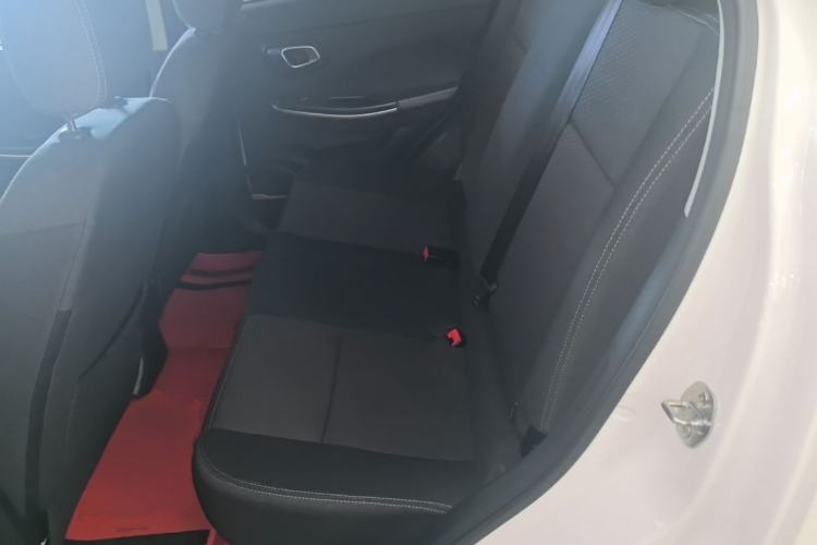 Used Dayun Yuehu 2022 300 Standard Edition Left Rear Seat