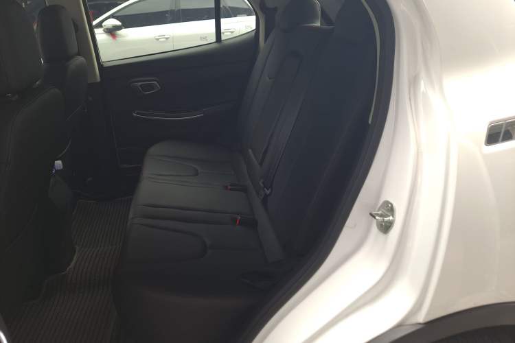 Used Dayun Yuehu 2022 30.66 kWh Two-Wheel Drive VIP Edition Left Rear Seat
