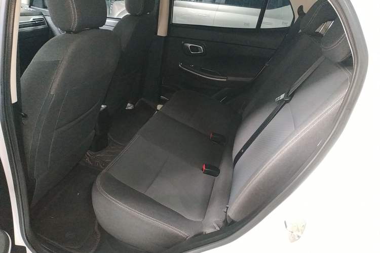 Used Dayun Yuehu 2022 300 Standard Edition Left Rear Seat