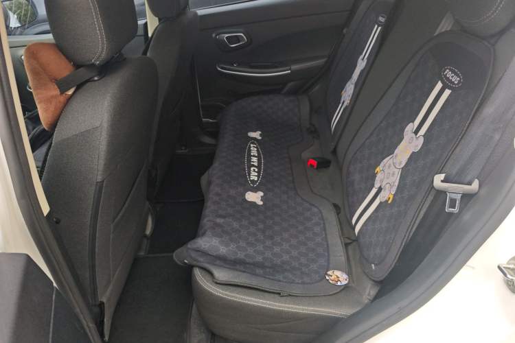 Used Dayun Yuehu 2022 30.66 kWh Two-Wheel Drive Standard Version Left Rear Seat