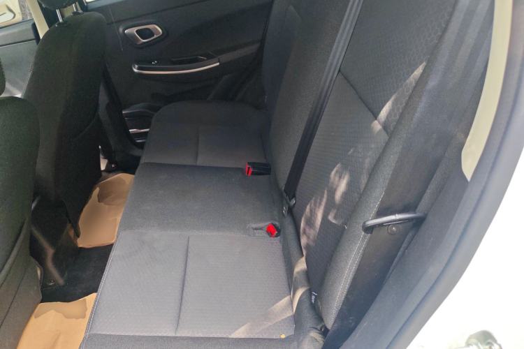 Used Dayun Yuehu 2022 300 Standard Edition Left Rear Seat