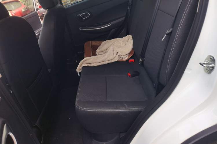 Used Dayun Yuehu 2022 30.66 kWh Two-Wheel Drive Standard Version Left Rear Seat