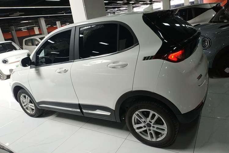 Used Dayun Yuehu 2022 300 Standard Edition Left Side