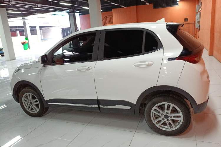 Used Dayun Yuehu 2022 30.66 kWh Two-Wheel Drive Standard Version Left Side