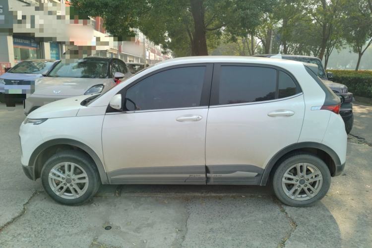 Used Dayun Yuehu 2022 30.66 kWh Two-Wheel Drive Standard Version Left Side