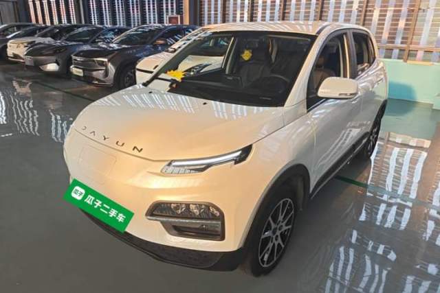 Used Dayun Yuehu 2022 30.66 kWh Two-Wheel Drive VIP Edition