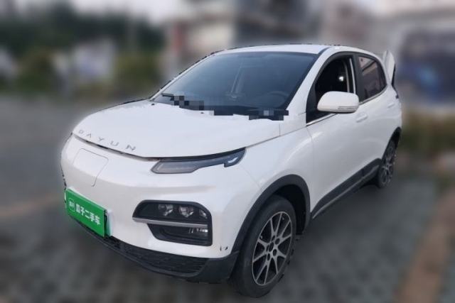 Used Dayun Yuehu 2022 Revised Version 30.66 kWh Two-Wheel-Drive VIP Edition