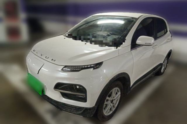 Used Dayun Yuehu 2022 30.66 kWh Two-Wheel Drive Standard Version