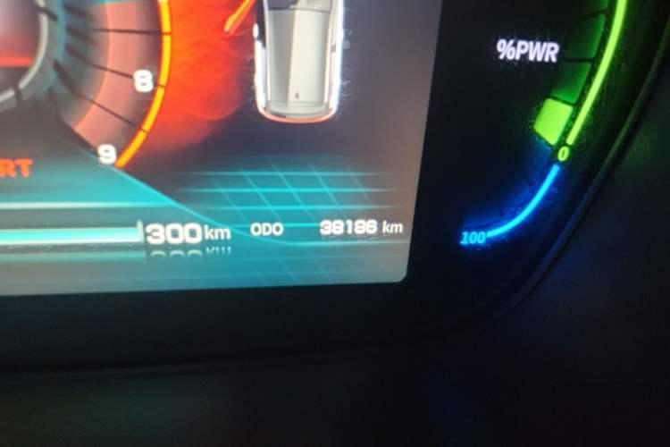 Used Dayun Yuehu 2022 Revised Version 30.66 kWh Two-Wheel-Drive VIP Edition Odometer Close Up
