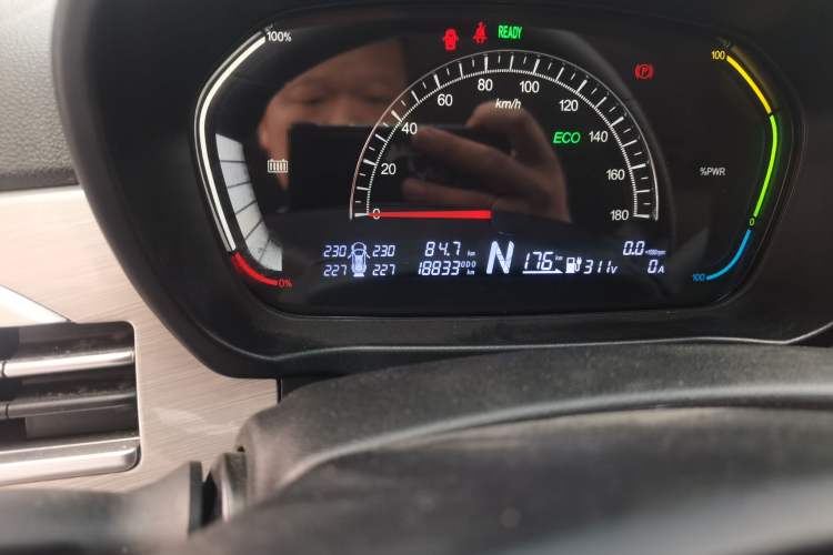 Used Dayun Yuehu 2022 30.66 kWh Two-Wheel Drive Standard Version Odometer Close Up