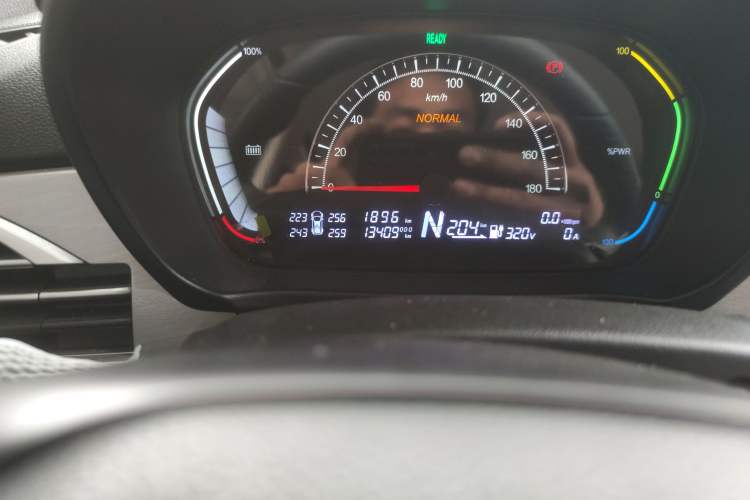 Used Dayun Yuehu 2022 300 Standard Edition Odometer Close Up