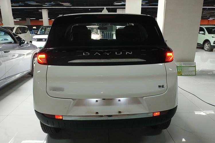 Used Dayun Yuehu 2022 300 Standard Edition Rear
