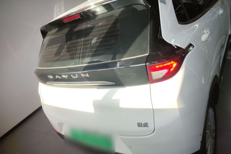 Used Dayun Yuehu 2022 30.66 kWh Two-Wheel Drive Standard Version Rear