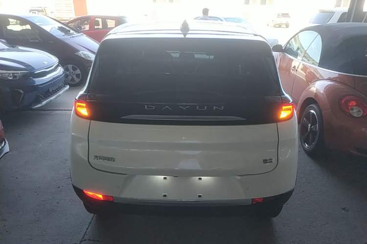 Used Dayun Yuehu 2022 30.66 kWh Two-Wheel Drive Standard Version Rear