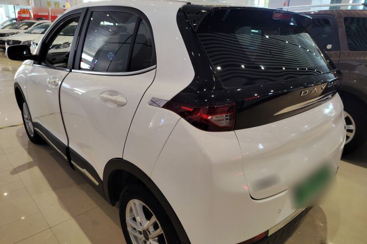 Used Dayun Yuehu 2022 Two-Wheel Drive Enjoyment Edition Rear Left 45 Deg