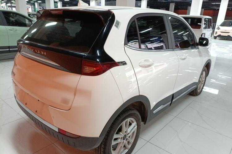Used Dayun Yuehu 2022 30.66 kWh Two-Wheel Drive Standard Version Rear Right 45 Deg