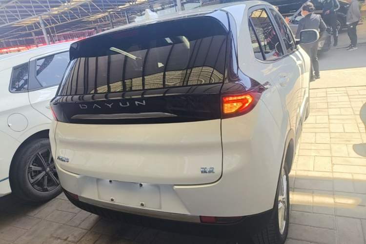 Used Dayun Yuehu 2022 30.66 kWh Two-Wheel Drive Standard Version Rear