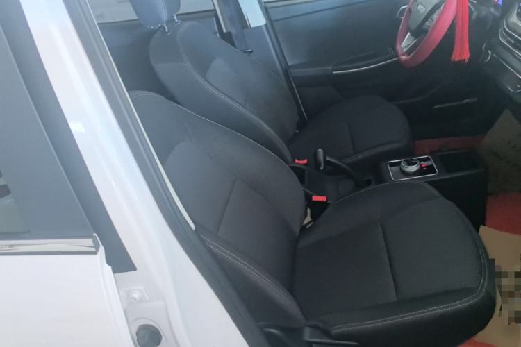 Used Dayun Yuehu 2022 300 Standard Edition Right Front Seat