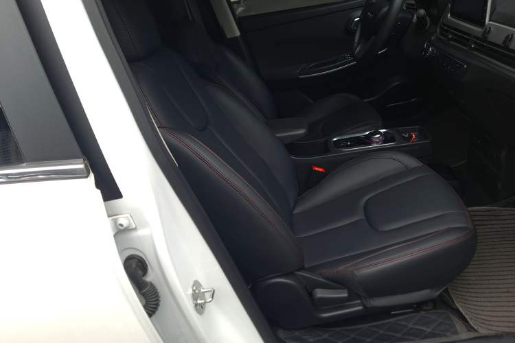 Used Dayun Yuehu 2022 30.66 kWh Two-Wheel Drive VIP Edition Right Front Seat