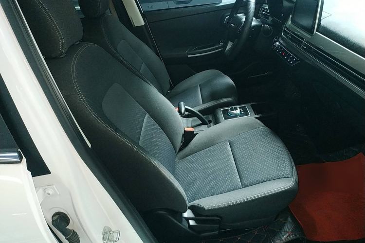 Used Dayun Yuehu 2022 300 Standard Edition Right Front Seat