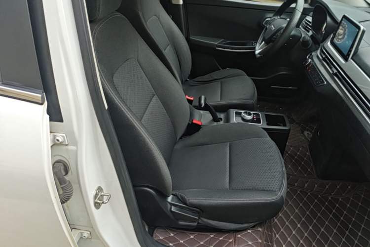 Used Dayun Yuehu 2022 30.66 kWh Two-Wheel Drive Standard Version Right Front Seat