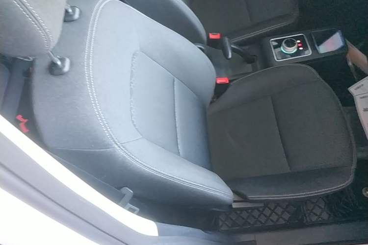Used Dayun Yuehu 2022 30.66 kWh Two-Wheel Drive Standard Version Right Front Seat