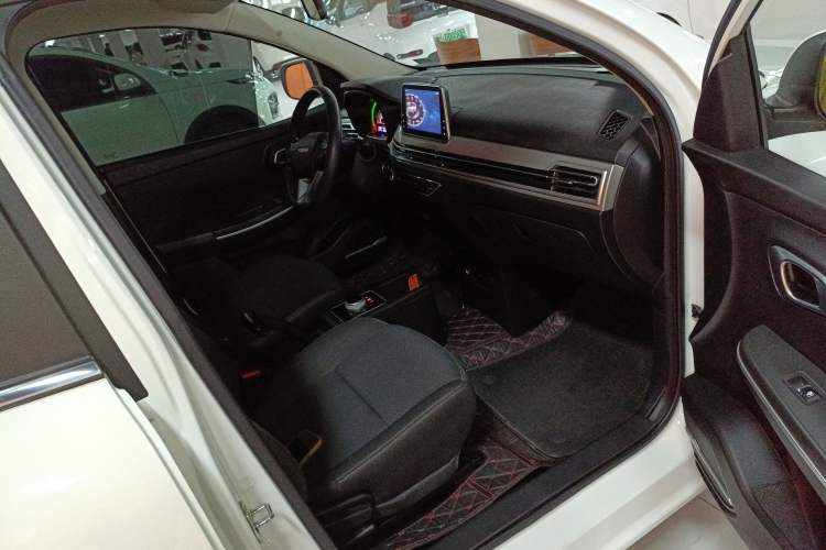 Used Dayun Yuehu 2022 30.66 kWh Two-Wheel Drive Standard Version Right Front Seat