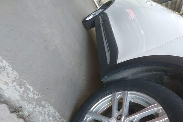 Used Dayun Yuehu 2022 30.66 kWh Two-Wheel Drive Standard Version Right Side Sill