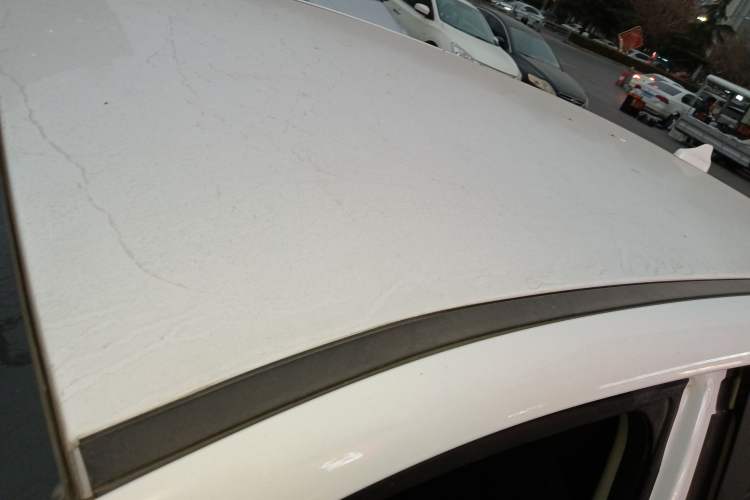 Used Dayun Yuehu 2022 300 Standard Edition Roof