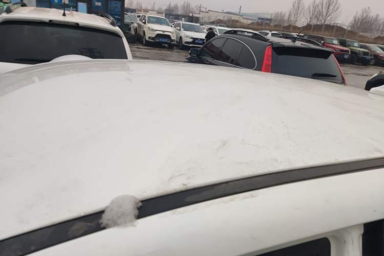 Used Dayun Yuehu 2022 30.66 kWh Two-Wheel Drive Standard Version Roof
