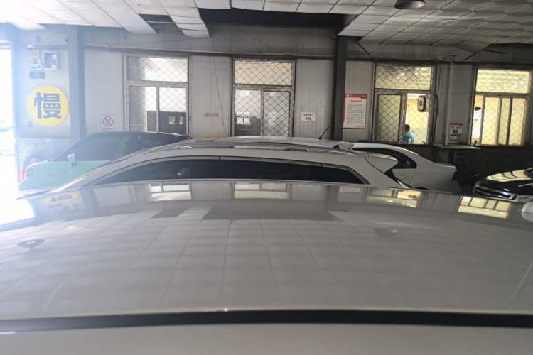 Used Dayun Yuehu 2022 300 Standard Edition Roof