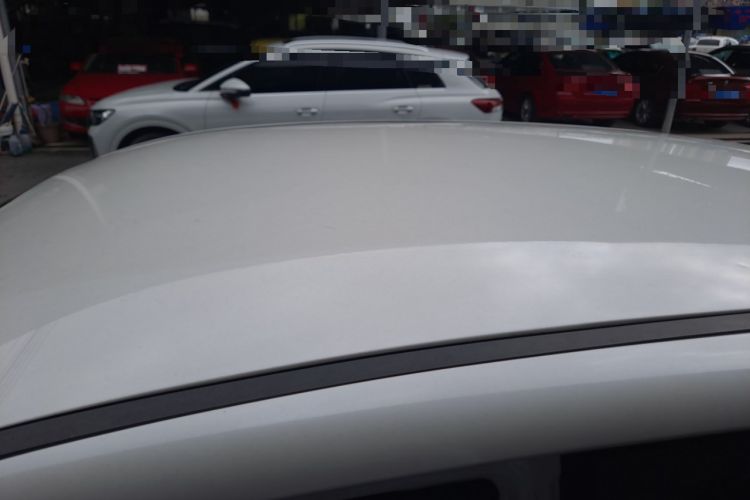 Used Dayun Yuehu 2022 30.66 kWh Two-Wheel Drive VIP Edition Roof