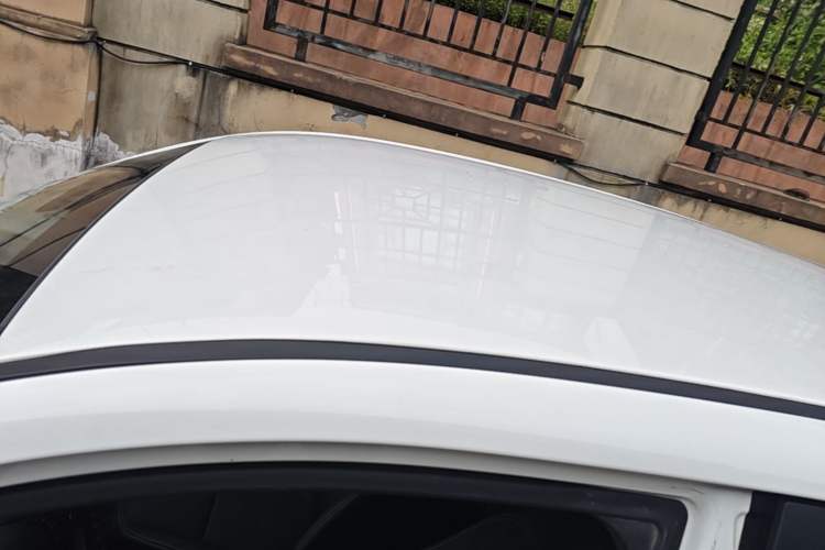 Used Dayun Yuehu 2022 30.66 kWh Two-Wheel Drive Standard Version Roof