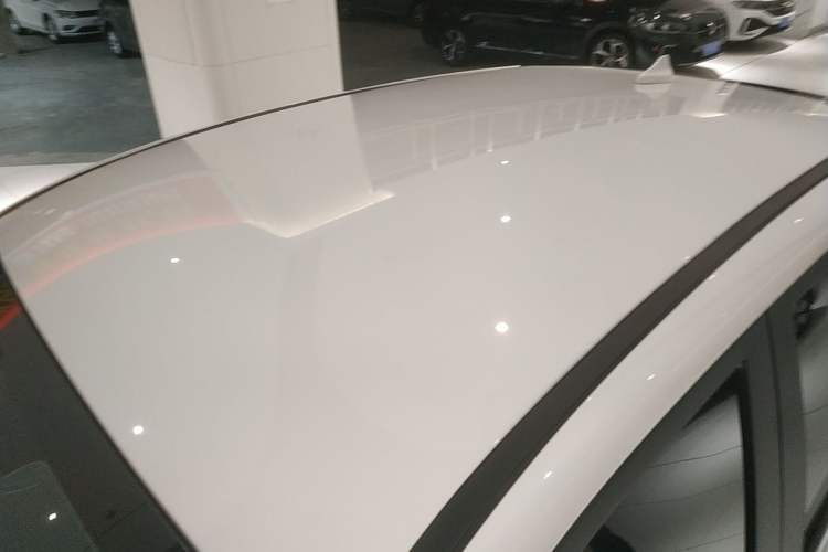 Used Dayun Yuehu 2022 30.66 kWh Two-Wheel Drive Luxury Edition Roof