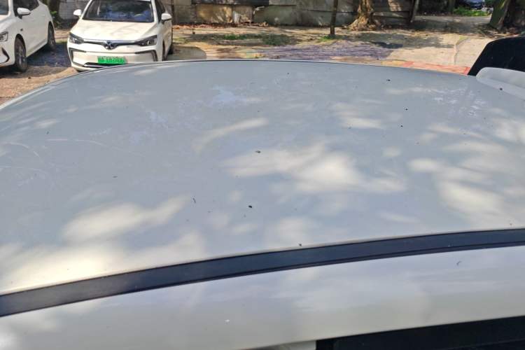 Used Dayun Yuehu 2022 300 Standard Edition Roof