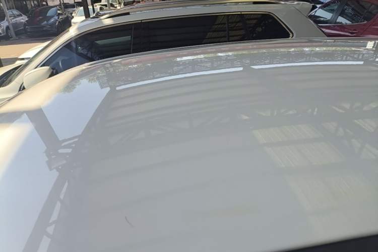 Used Dayun Yuehu 2022 30.66 kWh Two-Wheel Drive Standard Version Roof