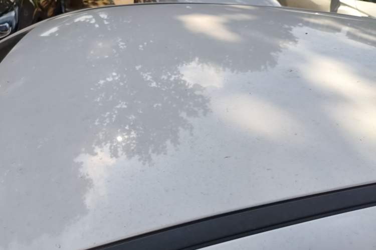 Used Dayun Yuehu 2022 300 Standard Edition Roof