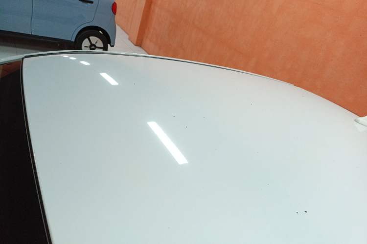 Used Dayun Yuehu 2022 30.66 kWh Two-Wheel Drive Standard Version Roof