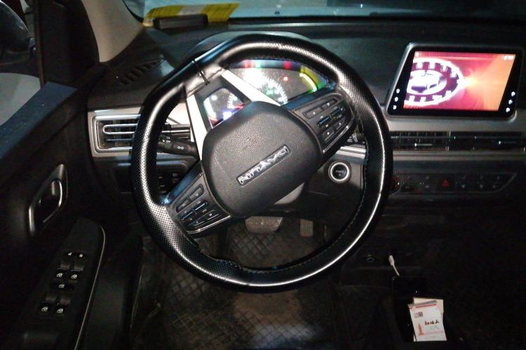 Used Dayun Yuehu 2022 30.66 kWh Two-Wheel Drive Standard Version Steering Wheel